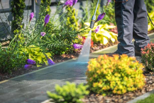 Professional Pressure Washing Services in Lyncourt, NY
